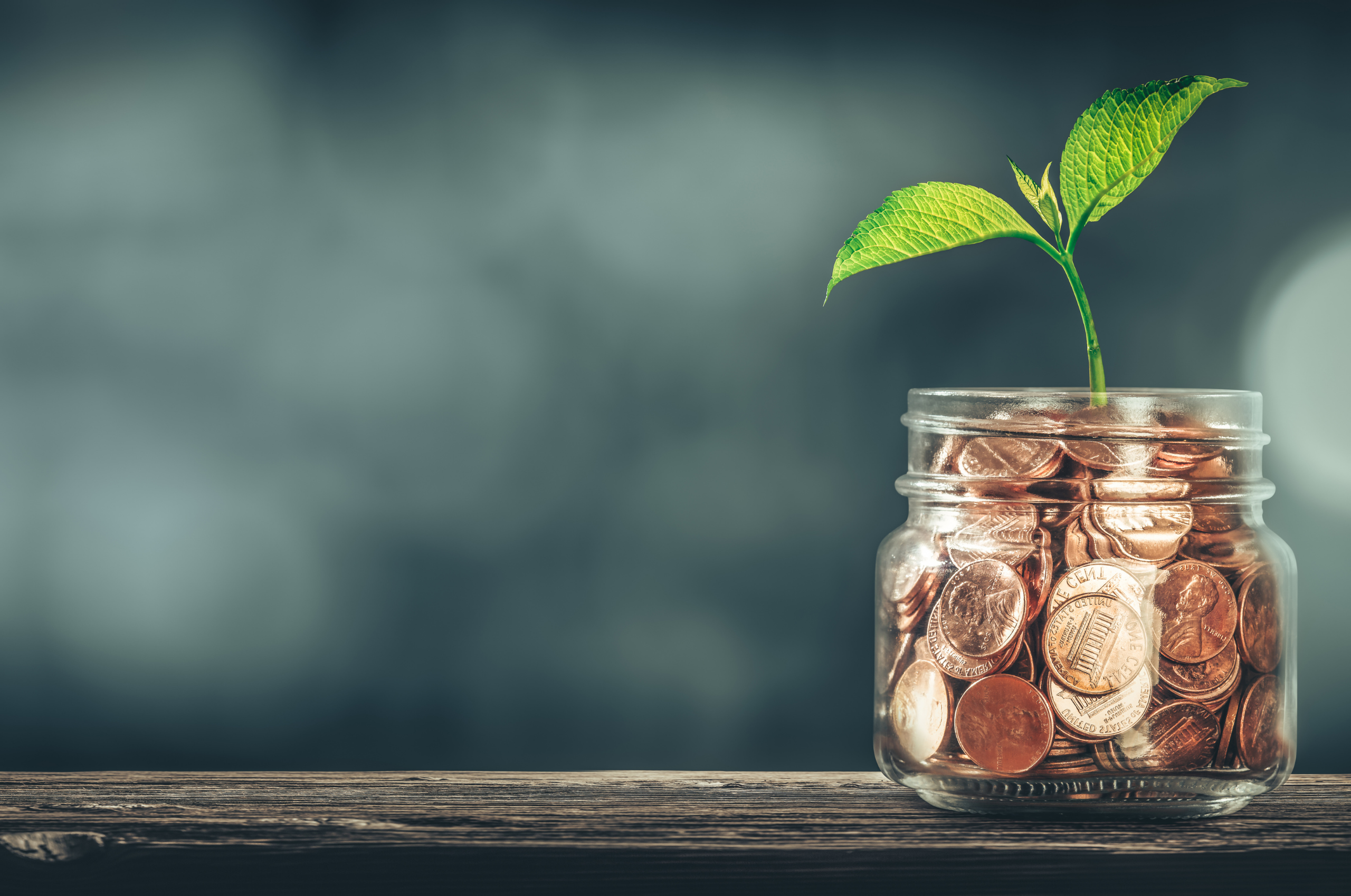 Scopri di più sull'articolo Polizze investimento