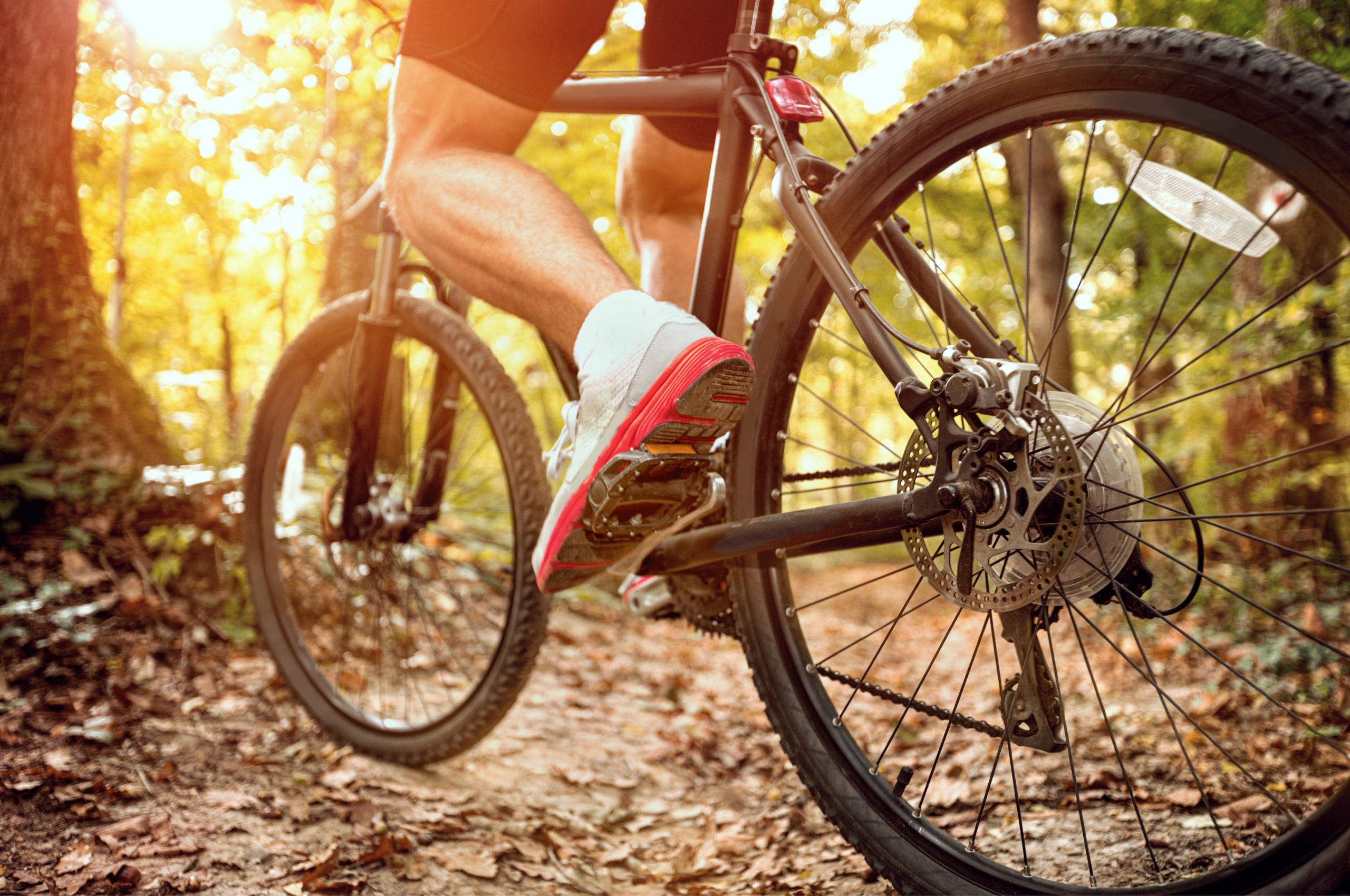 Scopri di più sull'articolo Polizza RC Bici